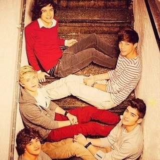One Dream, One Band, One Direction. 5 members: Louis Tomlinson, Zayn Malik, Niall Horan, Liam Payne and Harry Styles. #1DFamily.