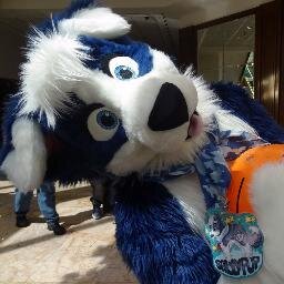 Am A sailor puppy and also a fox :)