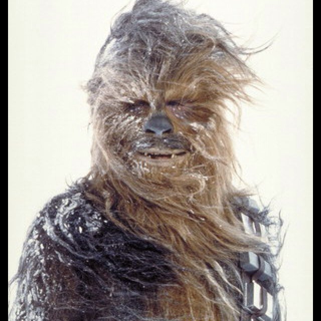 Official A$AP WOOKIE