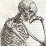 patkarlcurl's profile picture. pensive skeleton