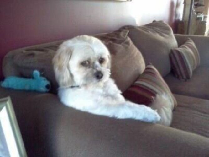 iMChillCosby's profile picture. Just Chill... Can you do that?! THANK YOU!!