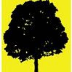 Arborist, Lumber Jack, Dangerous Tree Removal