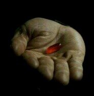 PiluleRouge's profile picture. 