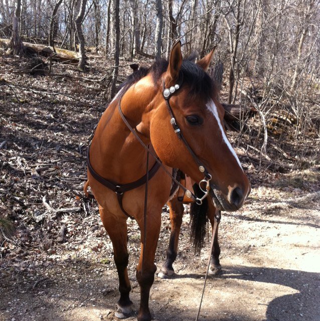 igallop2's profile picture. 