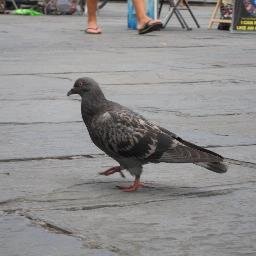 PearSause's profile picture. 