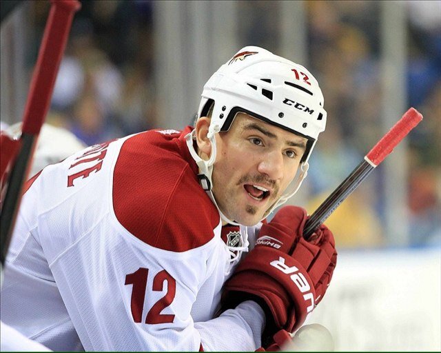Just  your typical 4th line grinder. Living the dream a scratch at a time.