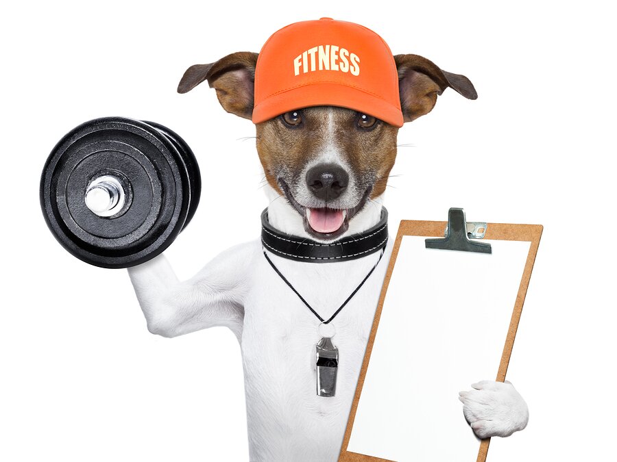 We want to try and help you with your pets. Please visit us!