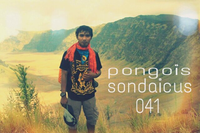 AchielDmons's profile picture. 