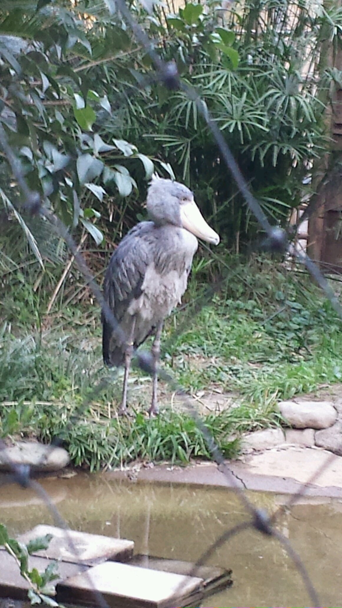 luckyfellow0805's profile picture.