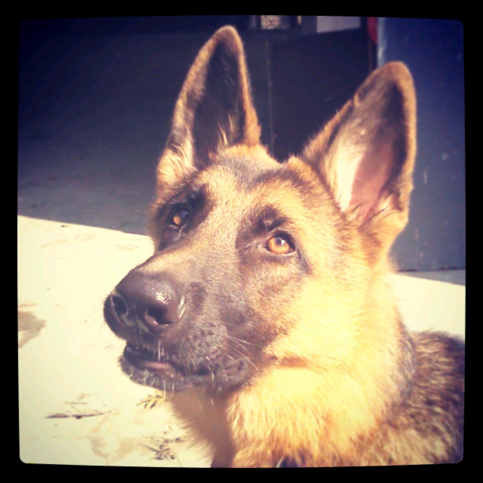 jagtap_tejas's profile picture. 