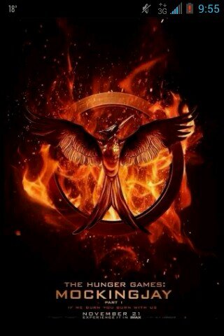 Luv 1D, Hunger Games, Harry Potter, XBOX 360, and Minecraft.