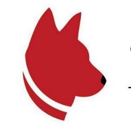 Dog walking and pet sitting services in beautiful Denver, Colorado.