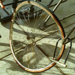 Physicist, cyclist, political radical of many kinds.