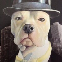 Nate Burrows (@nateburrows2) 's Twitter Profile