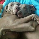 Billy Teague - @teague_billy - Twitter