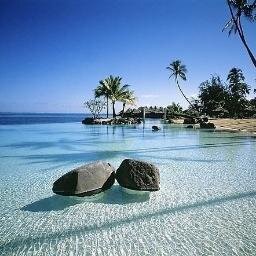 javierdelatr's profile picture. la unica pelea que se pierde es la que se abandona