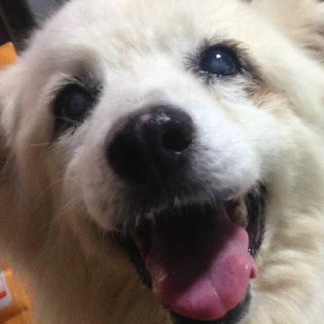 メガネカラッパというバンドでギターを弾いている。
ライブ情報や音源はこちらから。
http://t.co/VAAE7iAE
イラストやデザインの仕事もちょくちょくと。
