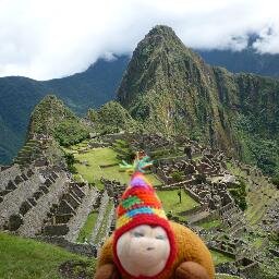 Tiny explorer with big travel soul! Soy una tortuga viajera y ecologista, a la que le apasiona conocer mundo y nuevas culturas, sígueme!!! :)