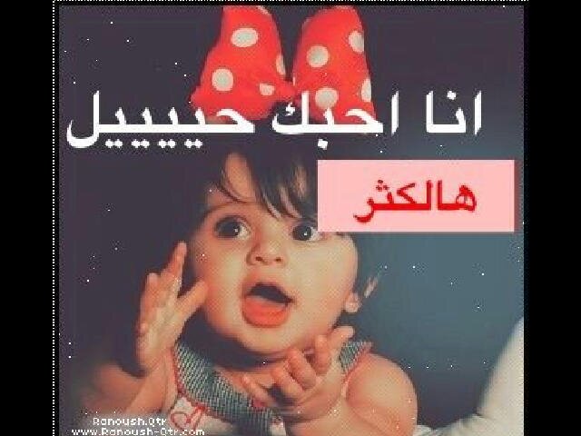 (اتشرف في متابعتكم جميعا) (مغرد للوطن وللجميع )