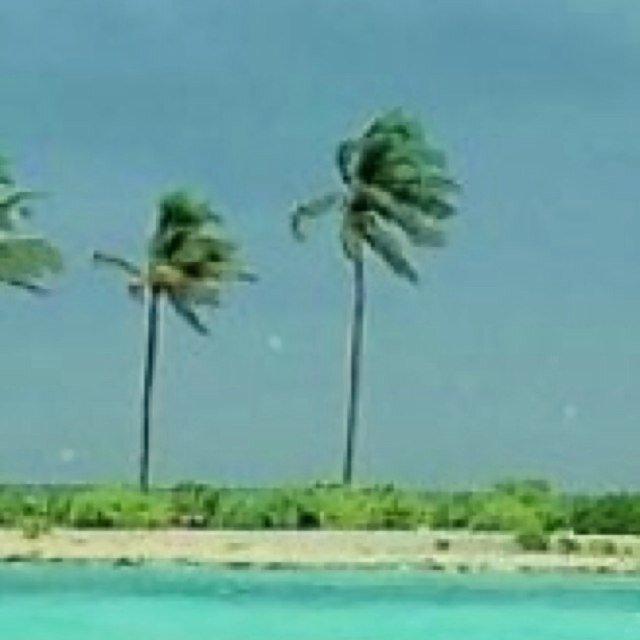 クイズ/イントロ/謎解き/ワードパズル