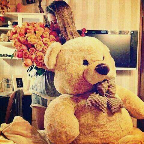 no love no problem