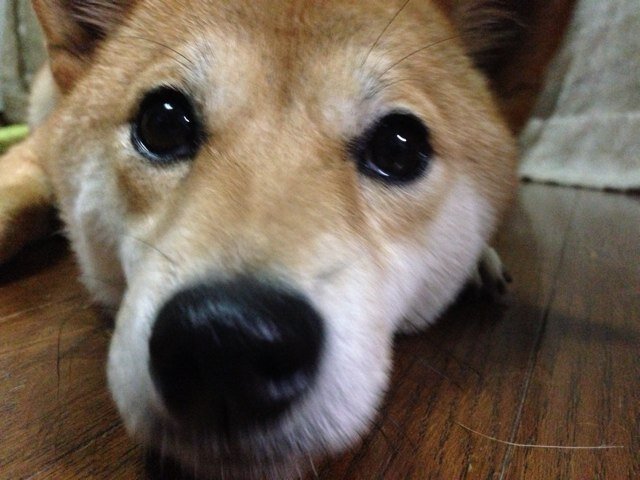 七田いずみさんのプロフィール画像