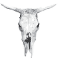 The Ox (@theoxbristol) 's Twitter Profile Photo The Ox (@theoxbristol) 's Twitter Profile Photo