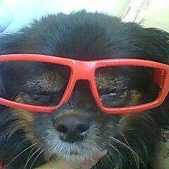 AlakBerkay's profile picture. 