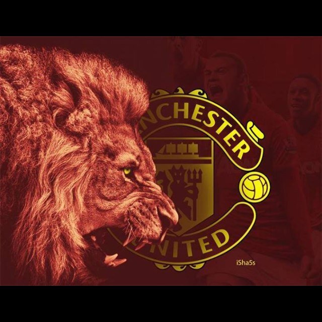 MUFC for life , amateur golfer, love,all sports, music, dark flims, wildlife, art . . . i Follow back. MANCHESTER IS RED .