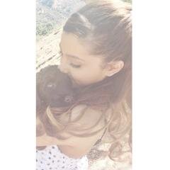 bxterasharmony's profile picture. follow @bingoariana or ill unfollow you