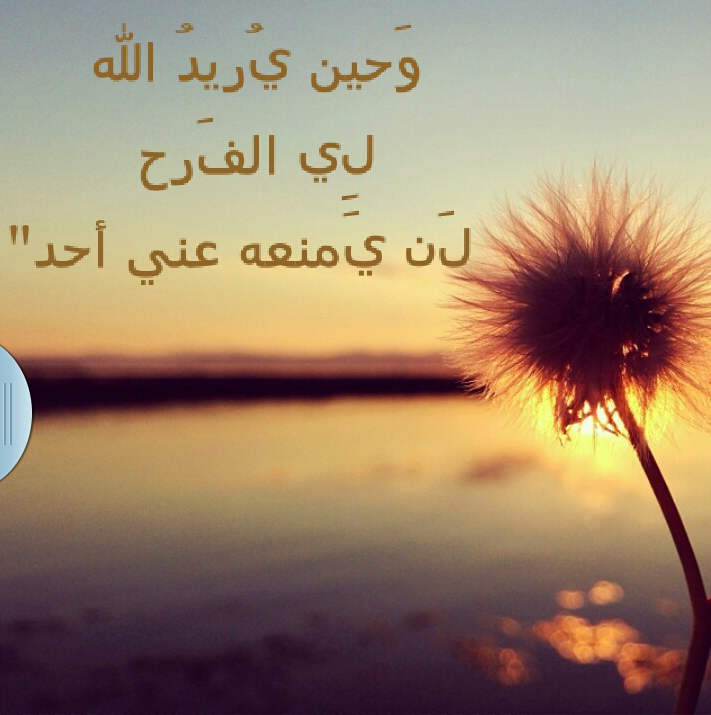 1429Soso's profile picture. 