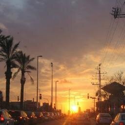 rinatbilbi's profile picture. מנהלת אדמניסטרטיבית במשרד אדריכלים, אוהבת ללכת להופעות, תצוגות אופנה, אוהבת לצנוח ולעשות בנג'י