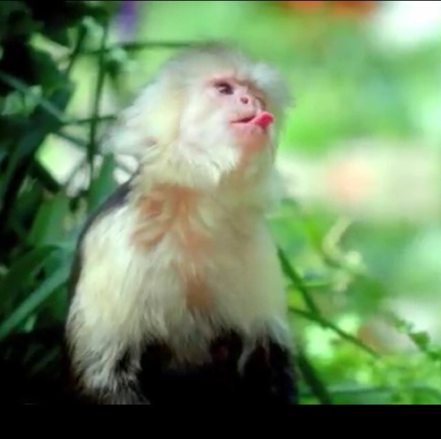 emsfondy2013's profile picture. Im emzzzzzz my brother is @chris_farndell 
Love liam payne and 1D