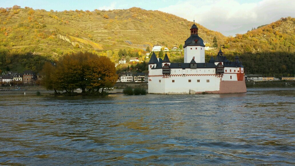 Royroyyyyy's profile picture. 