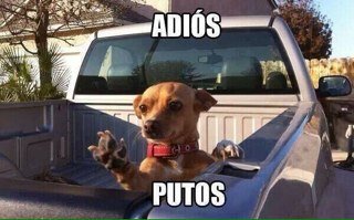 Dana | El3 | Mexico | The walking dead | Salir | Amigos | Comida | Paramore | K-poper | ▌▌▌