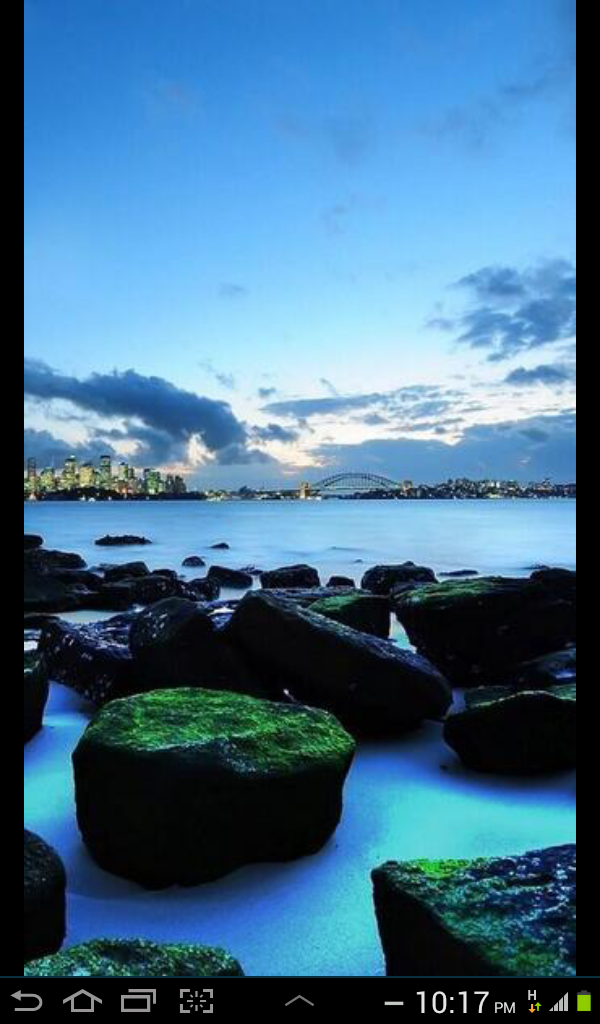 anicachibi's profile picture. 