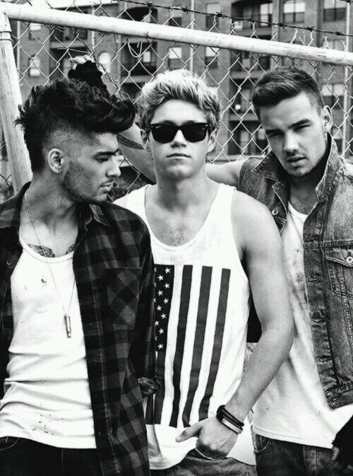 Everything I Wanted But nothing I'll Ever Need... -Liam