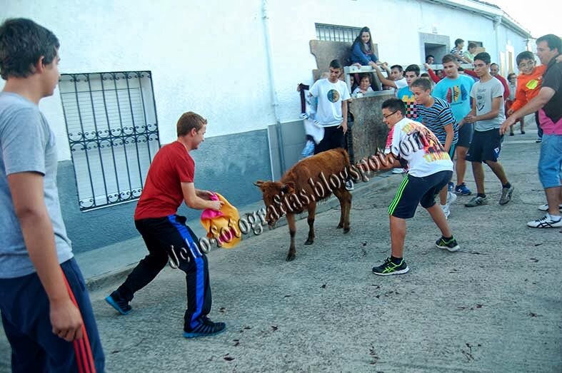 aficionado al mundo de los toros , voy a los encierros q puedo con el señor honorito y me gusta la fiesta