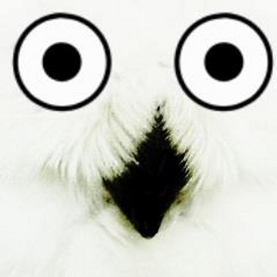 Tali 鳩羽つぐ 喪われたtanasinnやscpやゆめにっきを摂取している時の感覚を新鮮に感じられるのでありがたい