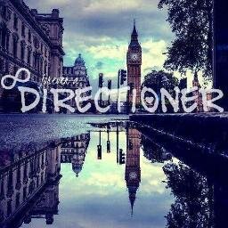 I was looking for a reason to stay alive and somewhere on the way I found five - Directioner and proud