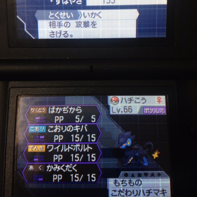 エビス 相棒はレントラー アルファルファモザイク 速報 ポケモンxyに新システム メガシンカ キタ ゚ ゚ Http T Co Gcq57hfu4x これはないなー メガメガヤンマとかなるんかな これbw2が最後にやったポケモンのシリーズになりそうな エビス 相棒はレントラー アルファルファモザイク 速報 ポケモンxyに新システム メガシンカ キタ ゚ ゚ Http T Co Gcq57hfu4x これはないなー メガメガヤンマとかなるんかな これbw2が最後にやったポケモンのシリーズになりそうな