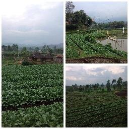 Touchdown your land, enjoy as traveler !
Contact Person : Icoh 08561701141