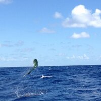 Hunter Alloway (@hunteralloway) 's Twitter Profile