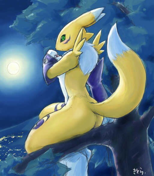 SexyRenamon's profile picture. 