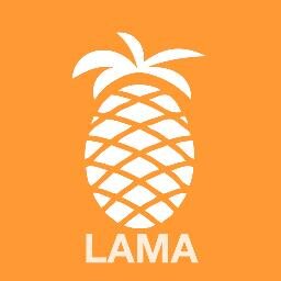 Team Lamananas - Nuit de l'info 2013