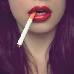 searchinfun's profile picture. follow me, i follow also!
LITTLE MONSTERS♥