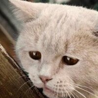 One Pusku Com (@one_pusk_com) 's Twitter Profile
