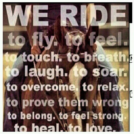 Just a Cowgirl that loves her quarter horse!