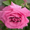 , شمس الجنوب (@0555526512) Twitter