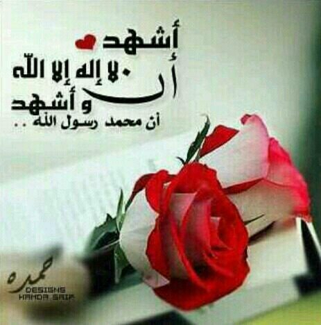ربي اغفرلي والوالدي واللمؤمنين والمؤمنات الاحياء منهم والاموات..